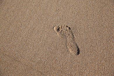 《杀戮地带：暗影坠落》在线服务器将在8月关闭